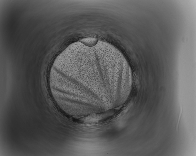 X0000089701489200707121344