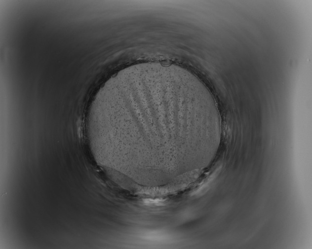 X0000089701490200707121344