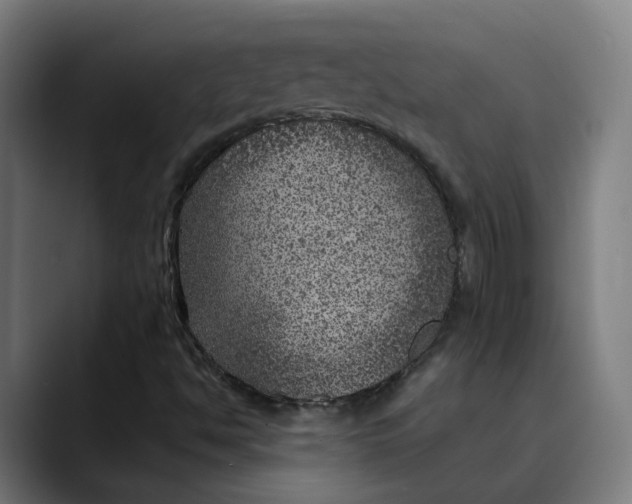 X0000089701494200707121344