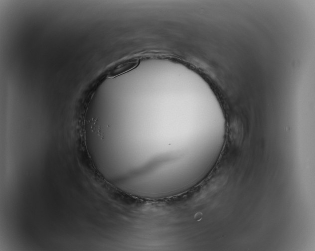 X0000089701496200707121344