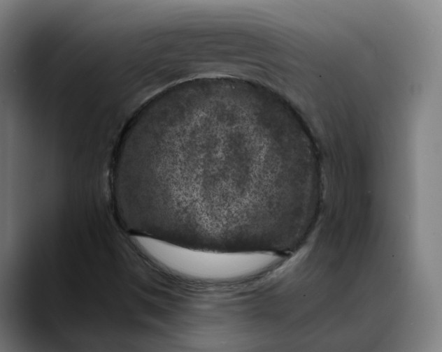 X0000089701497200707121344