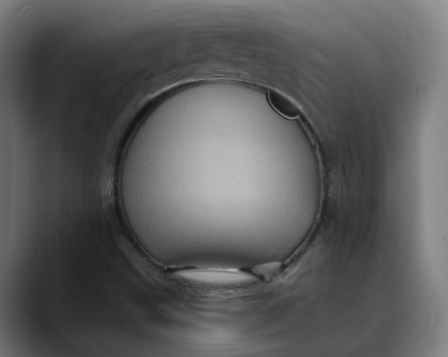 X0000089701499200707121344