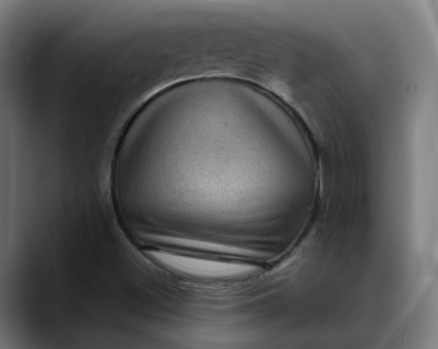 X0000089701500200707121344