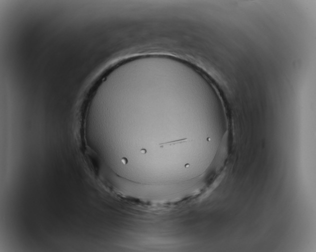 X0000089701502200707121344