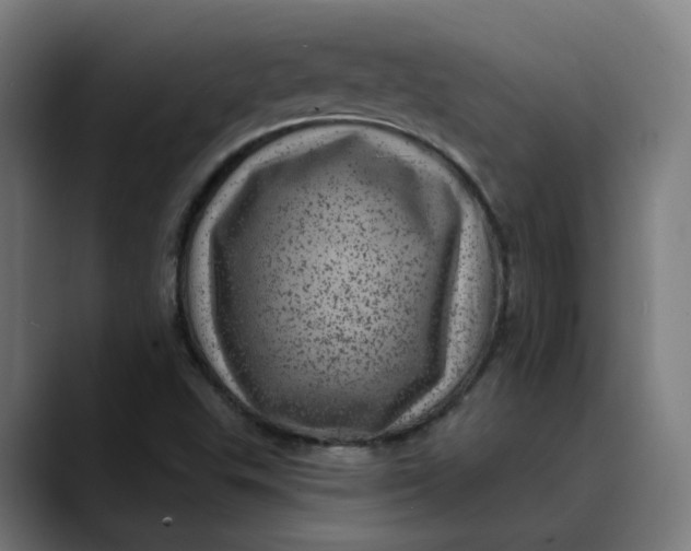 X0000089701503200707121344