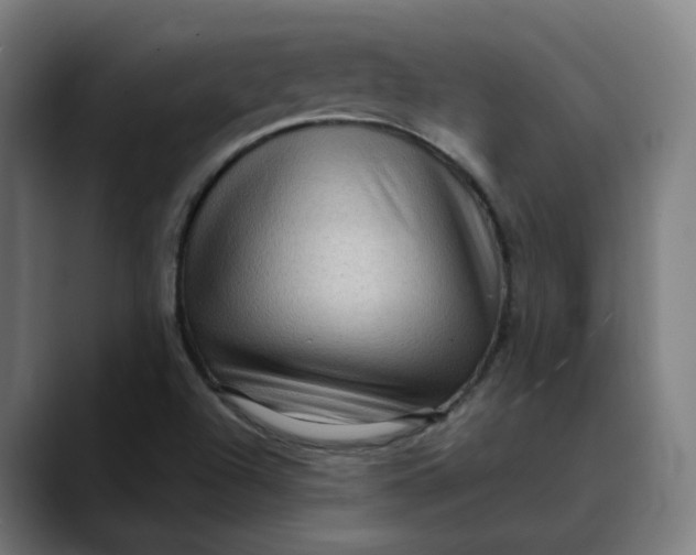 X0000089701504200707121344