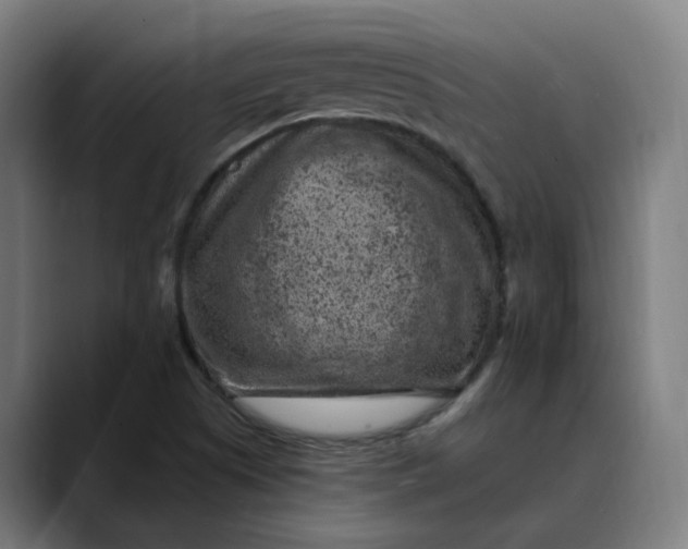 X0000089701505200707121345