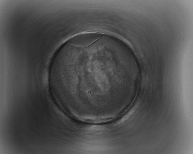 X0000089701506200707121345