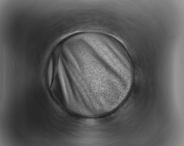 X0000089701507200707121345