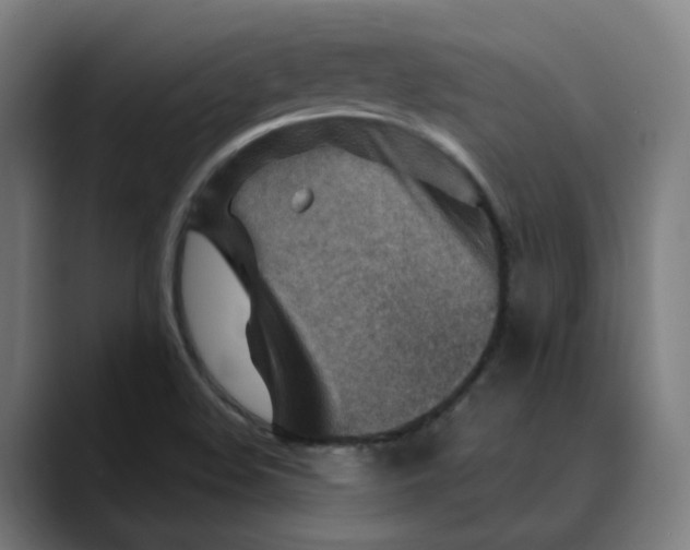 X0000089701508200707121345