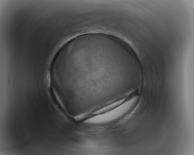 X0000089701509200707121345