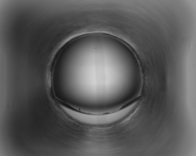 X0000089701510200707121345