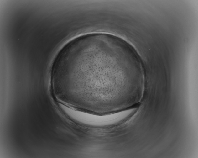 X0000089701511200707121345