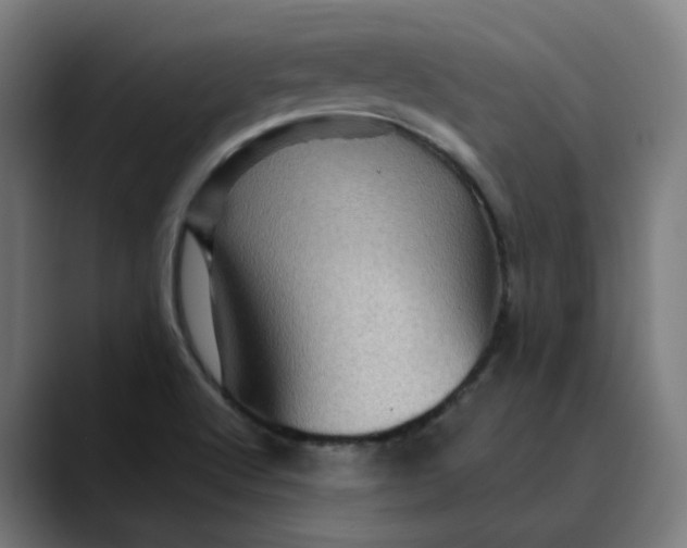 X0000089701512200707121345