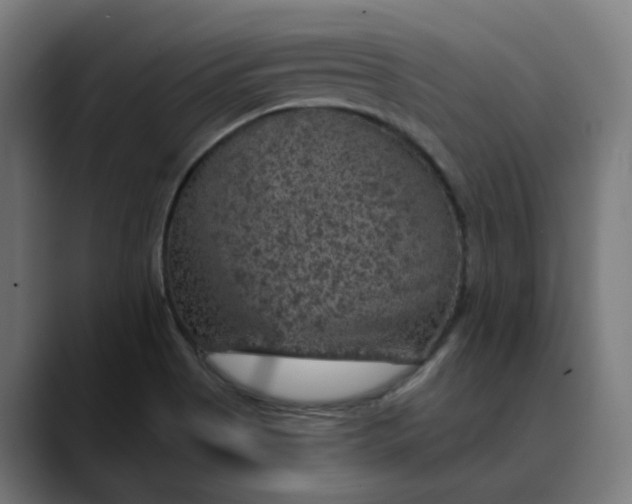 X0000089701513200707121345