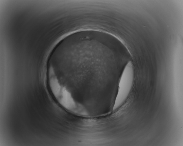 X0000089701515200707121345