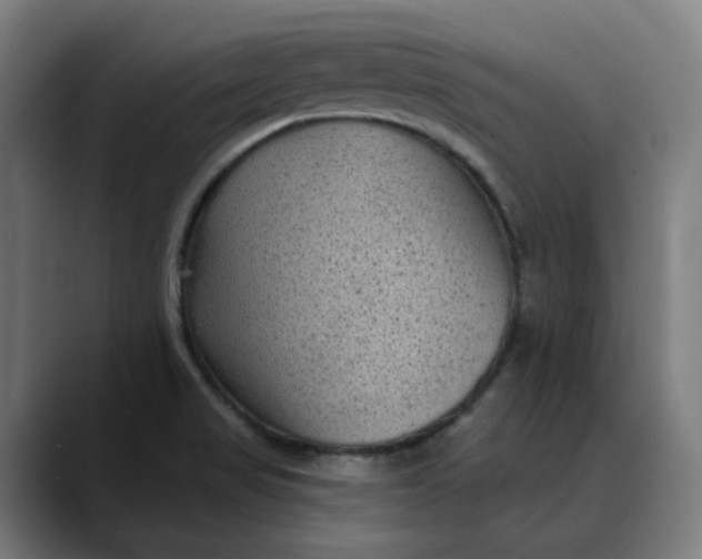 X0000089701517200707121345