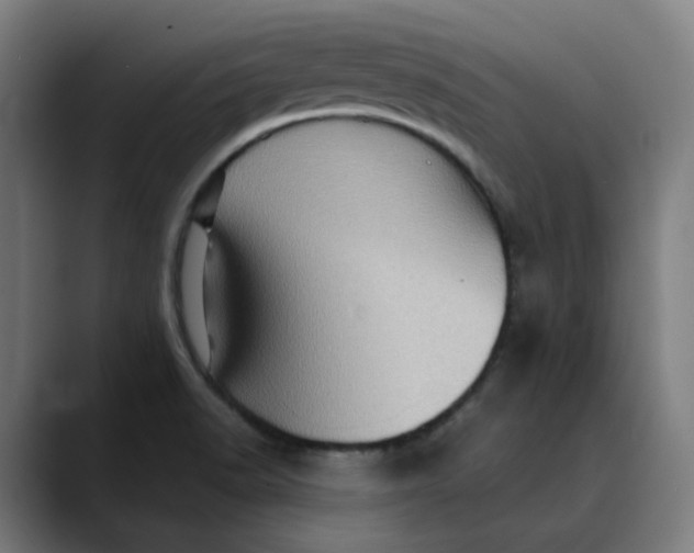 X0000089701518200707121345