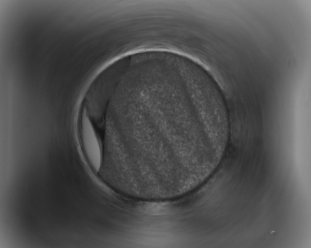 X0000089701519200707121345