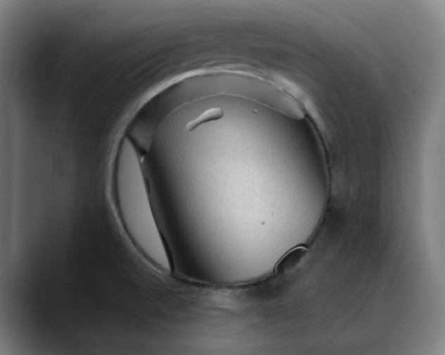 X0000089701520200707121345