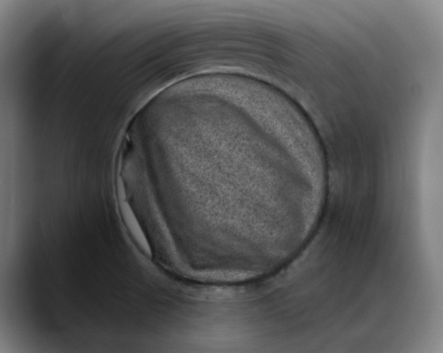 X0000089701521200707121345