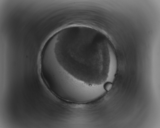 X0000089701522200707121345