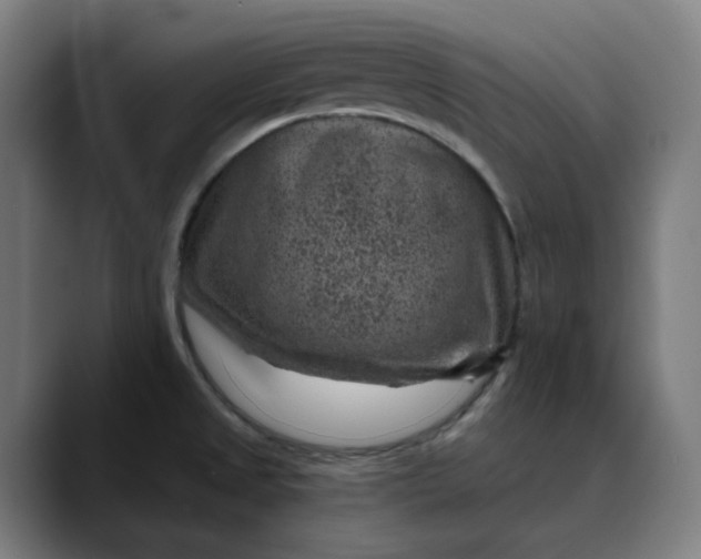 X0000089701525200707121345