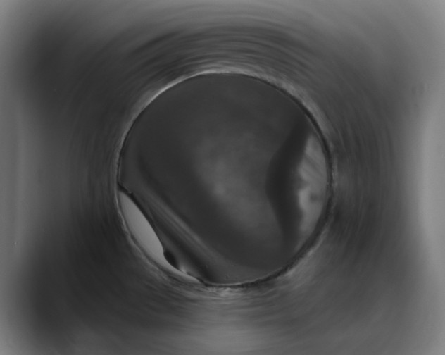 X0000089701529200707121345