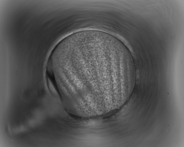 X0000089701530200707121345