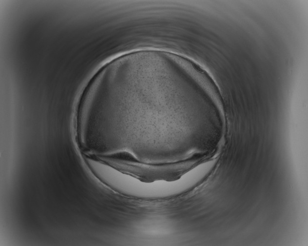 X0000089701531200707121345