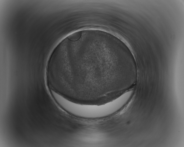 X0000089701533200707121345