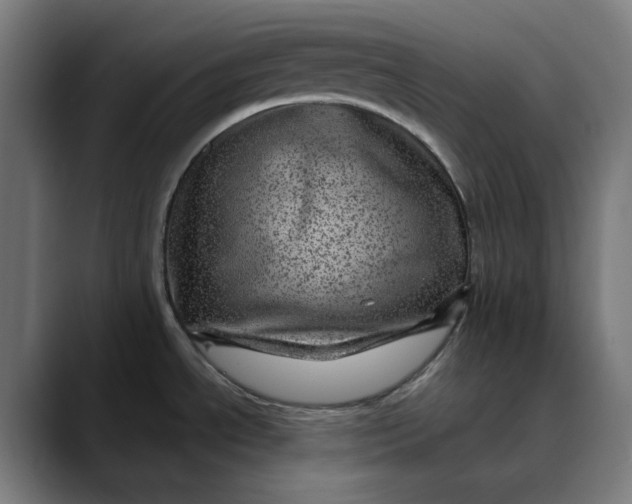 X0000089701534200707121345