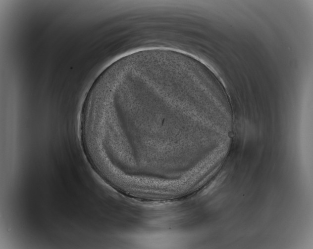 X0000089701535200707121345