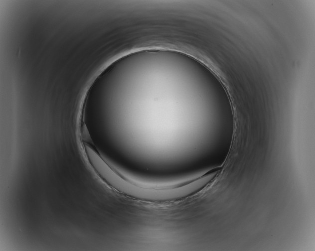 X0000089701536200707121345