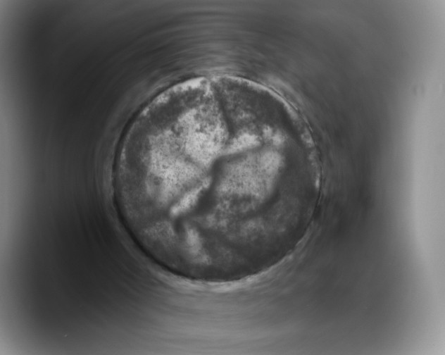 X0000089700002200707201750