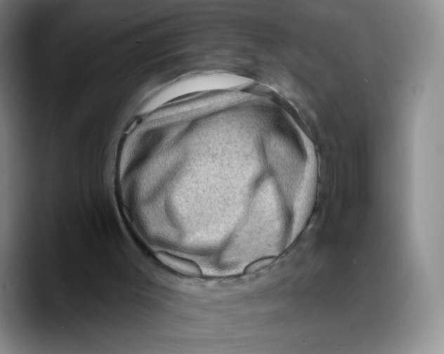 X0000089700003200707201750