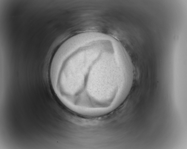 X0000089700004200707201750