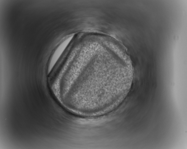 X0000089700005200707201750