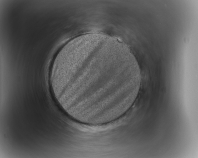 X0000089700006200707201750