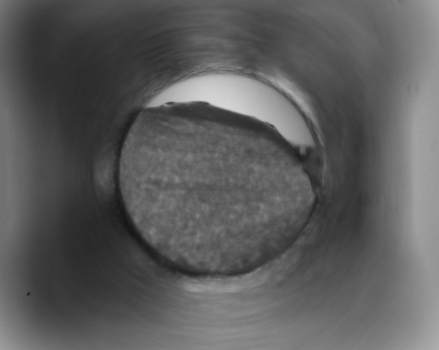 X0000089700009200707201749