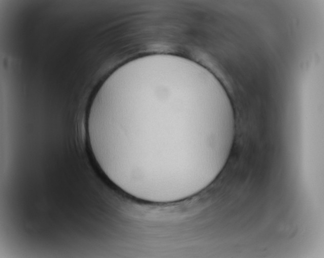 X0000089700011200707201749