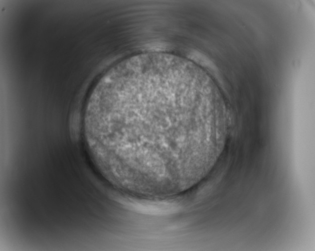 X0000089700012200707201749