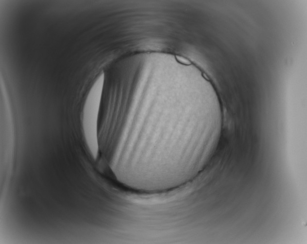 X0000089700013200707201749