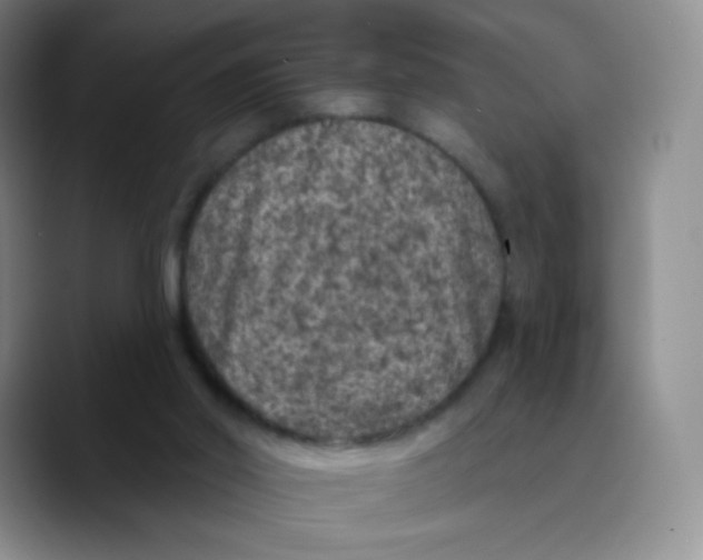 X0000089700014200707201749