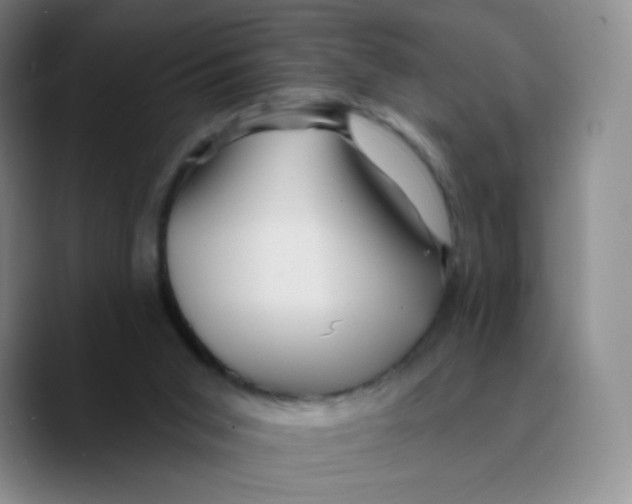 X0000089700015200707201749