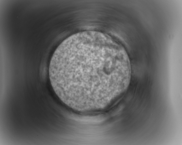 X0000089700016200707201749