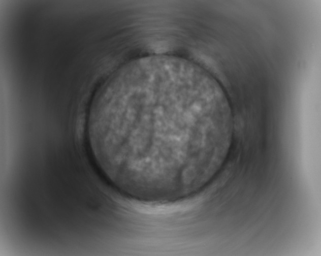 X0000089700018200707201749
