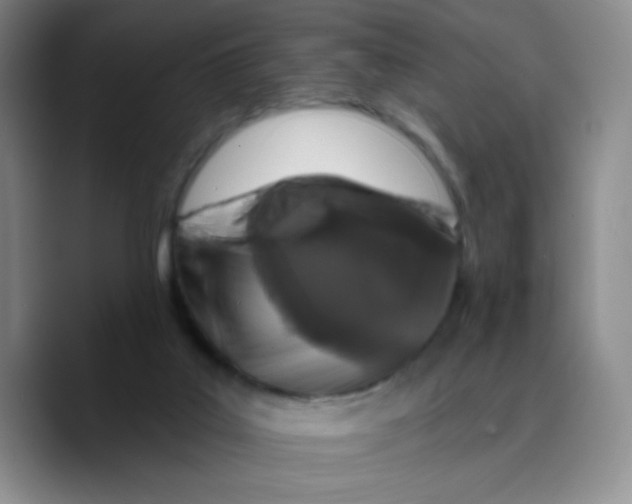 X0000089700019200707201749