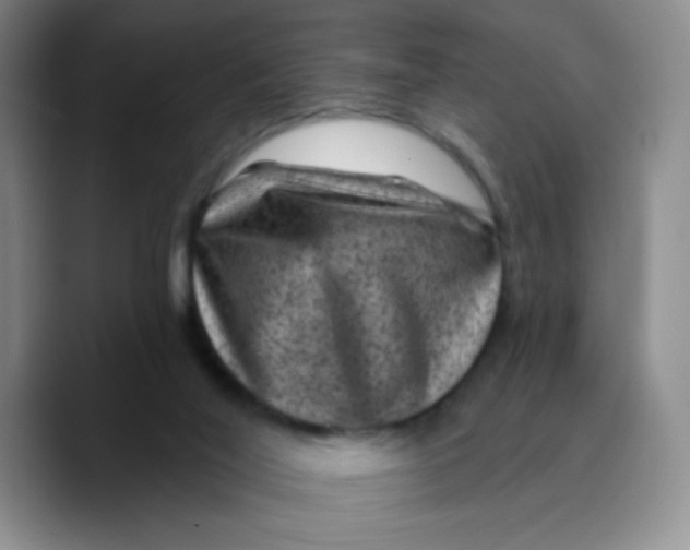 X0000089700020200707201749