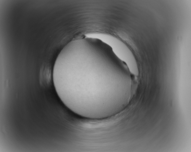 X0000089700021200707201749